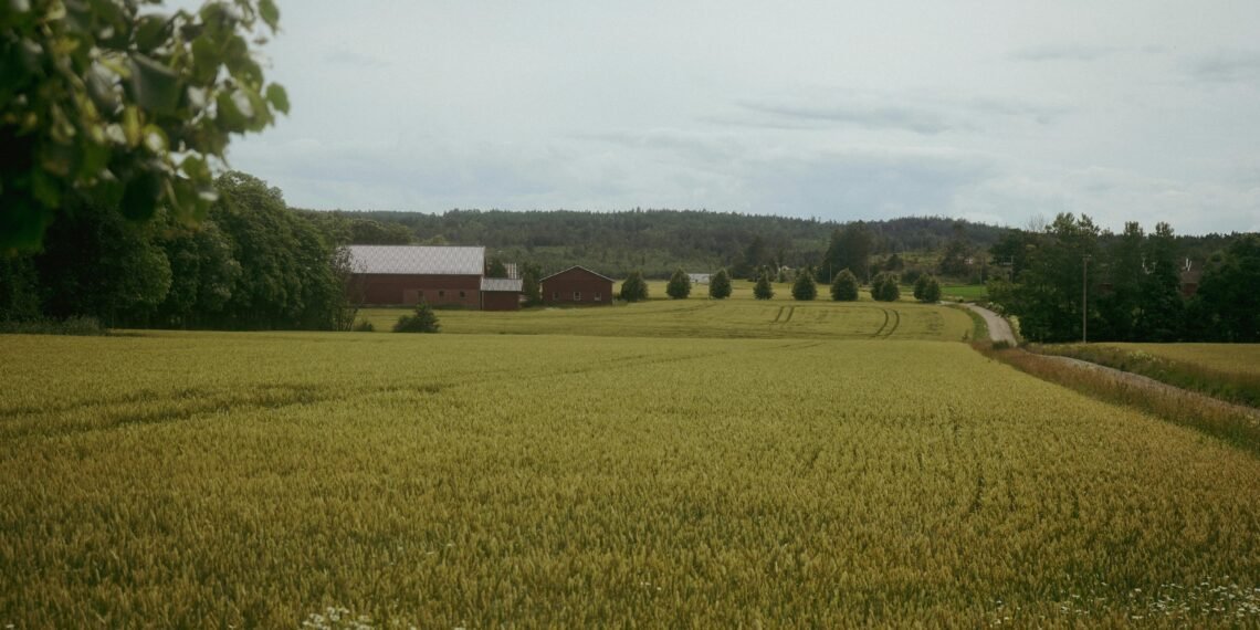 Melinda / Aylin Koç